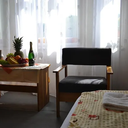 Guest house Merlin *